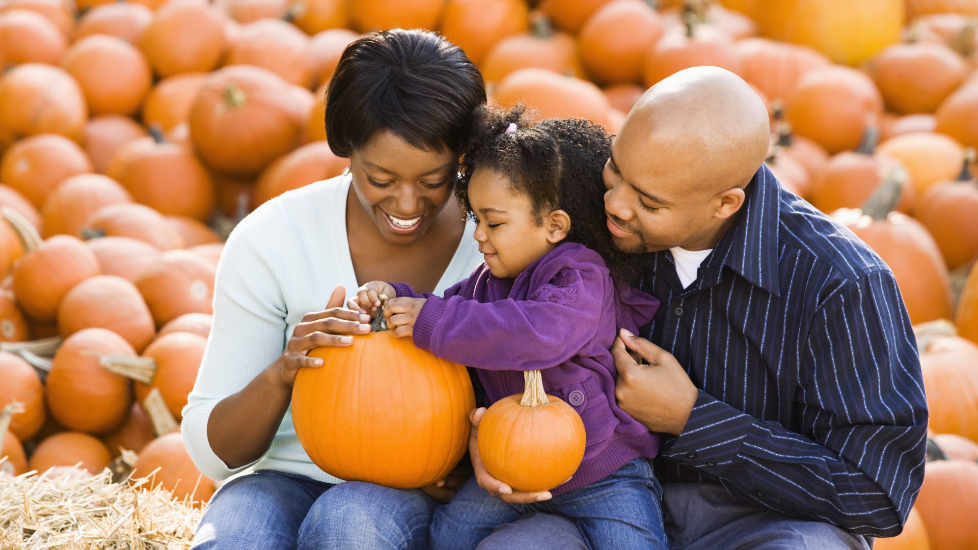 Family Playing in a Pumpkin Patch